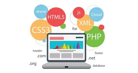 Web & App Development